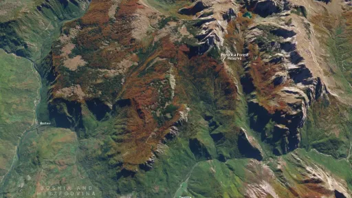 Monitoring Forest Health in World Heritage Landscapes